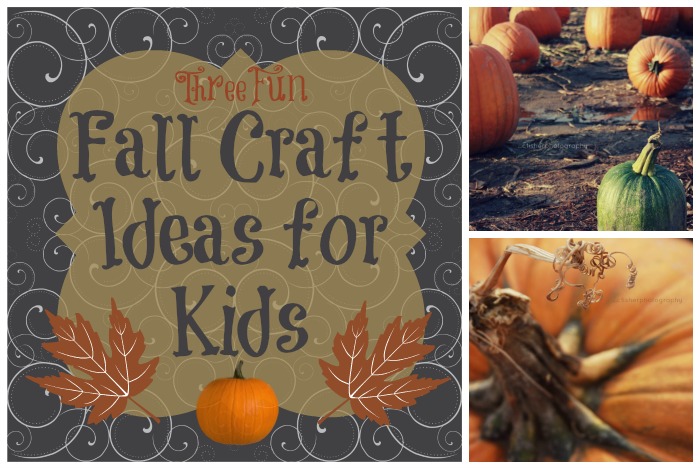 Kids Fall Craft Ideas