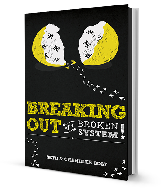 Breakingoutbook-small1