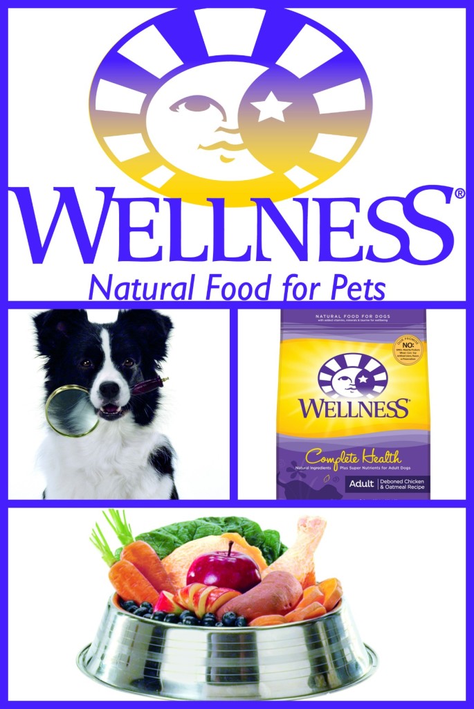 wellnes natural pet food