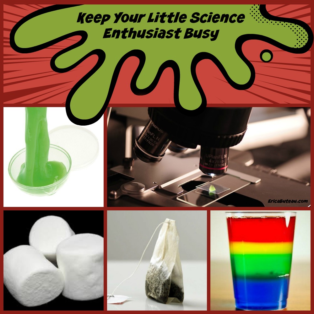 keep your little science enthusiast busy