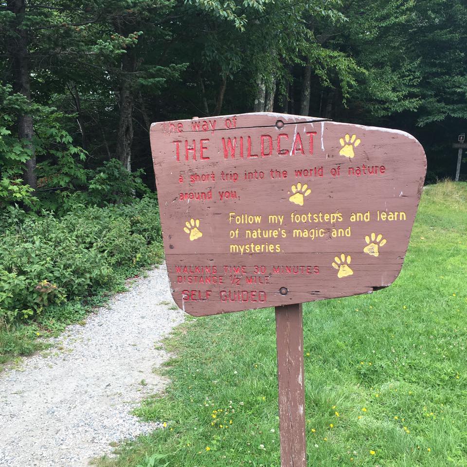 the way of the wildcat self guided tour