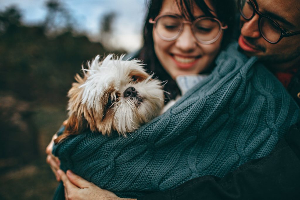 How to Prepare Your Home for a New Dog