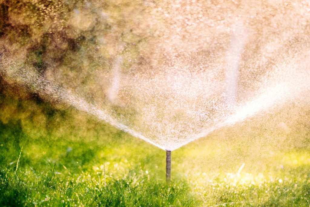 How to Upkeep Your Lawn When Youre on Vacation
