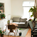 a well light and plant filled living room.