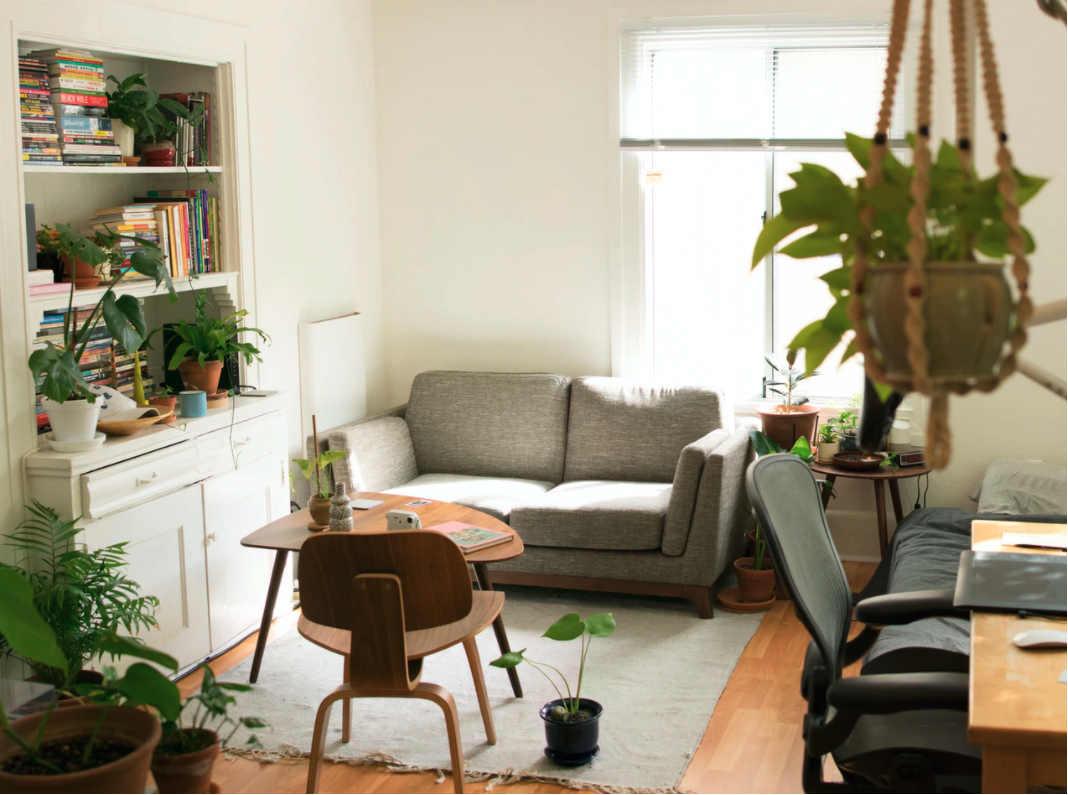 a well light and plant filled living room.