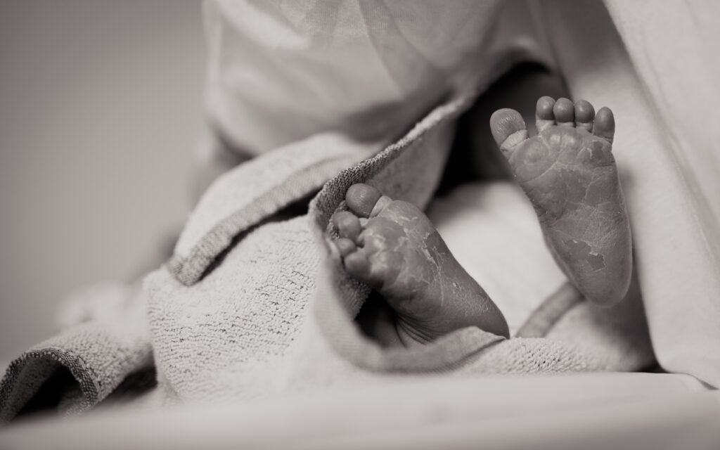 janko ferlic T5Q78o0xTdw unsplash