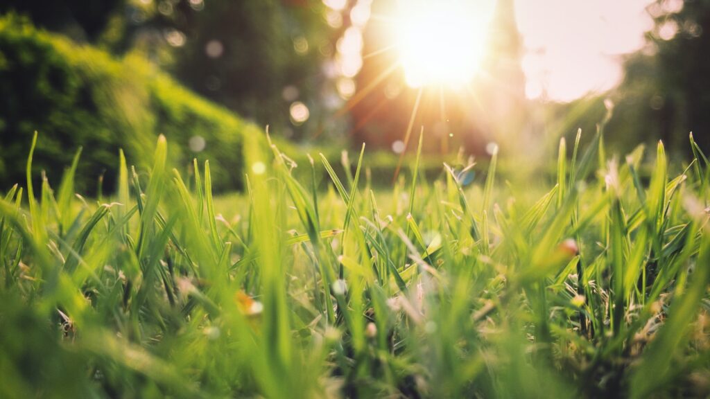 Want to Update Your House for Spring 4 Types of Renovations to Consider