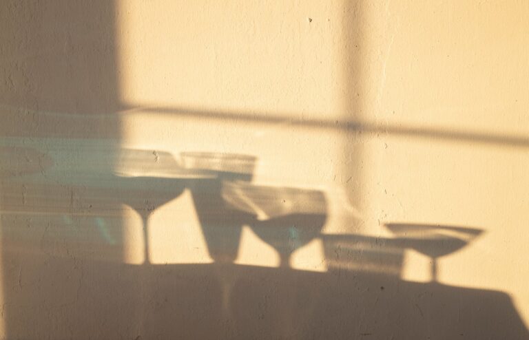 shadows of glasses on wall