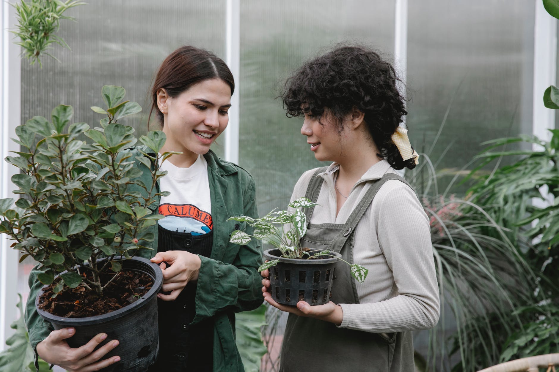 cheerful ethnic women with potted plants near greenhouse