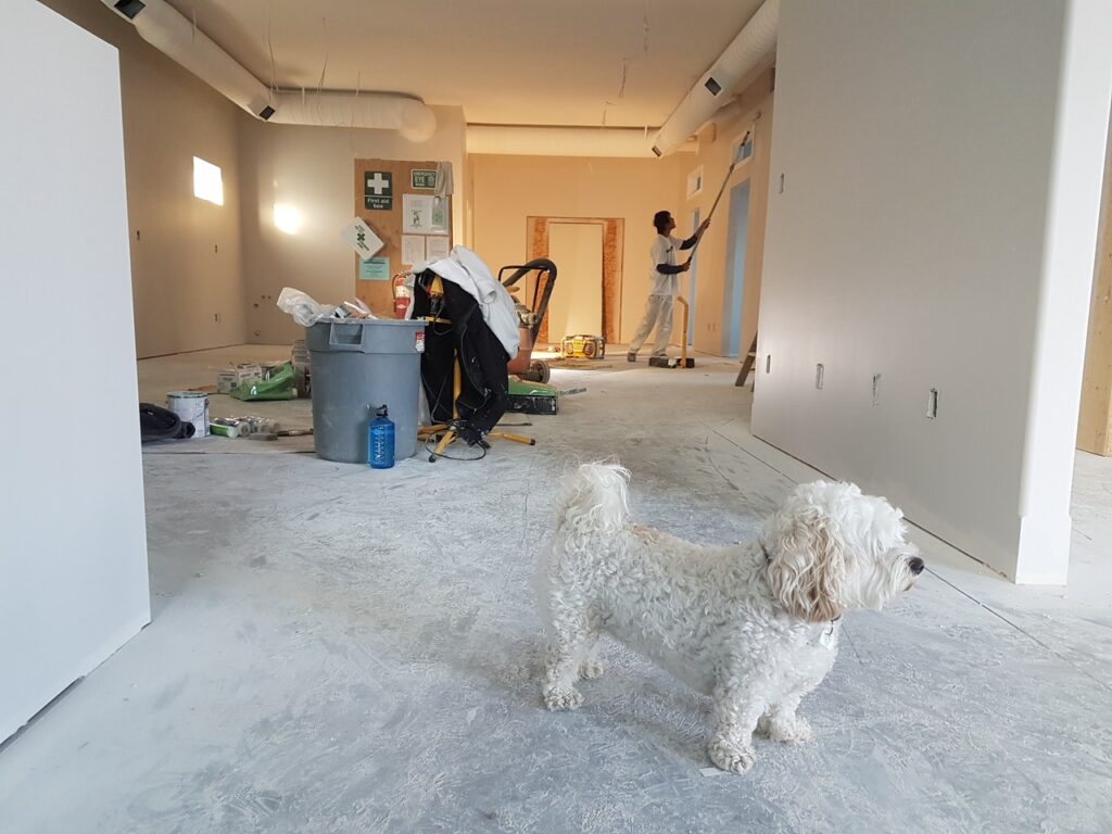 6 Projects for New Homeowners to Tackle 1 6 Projects for New Homeowners to Tackle 2