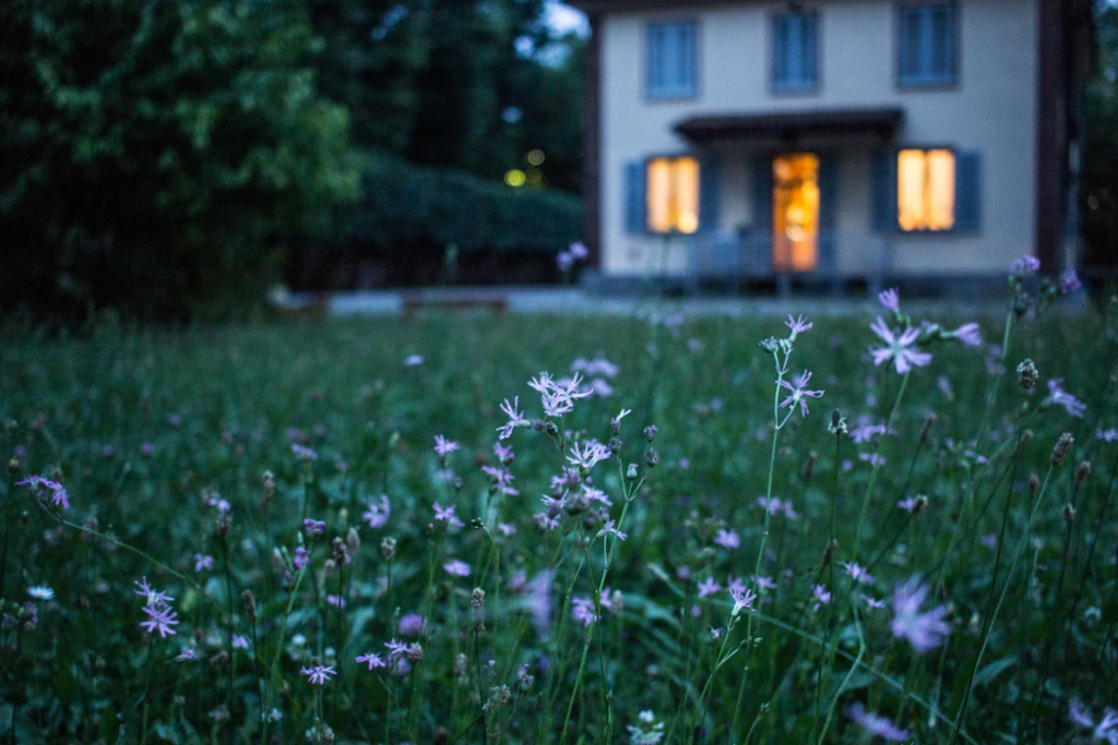 How to Make Your Backyard Stand Out While Conserving Natural Resources