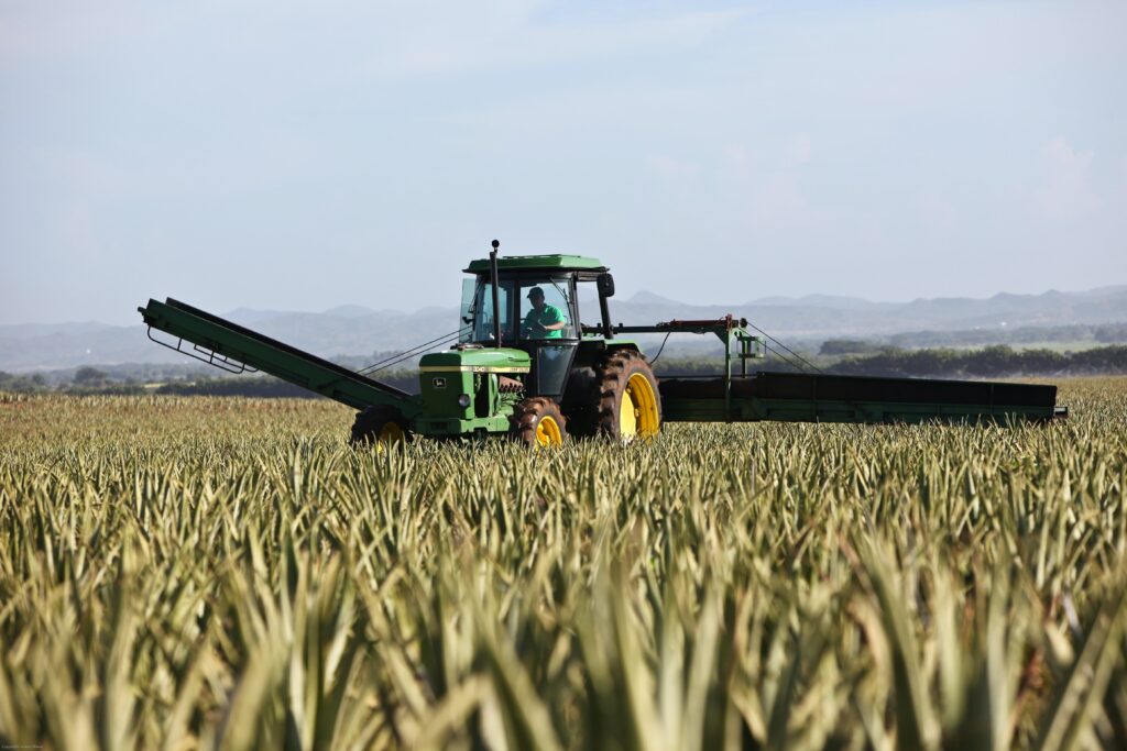 What You Need to Succeed on the Farm