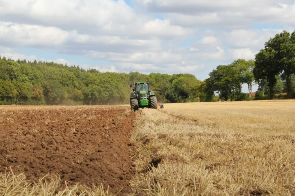 What You Might Need When Starting Your Farm