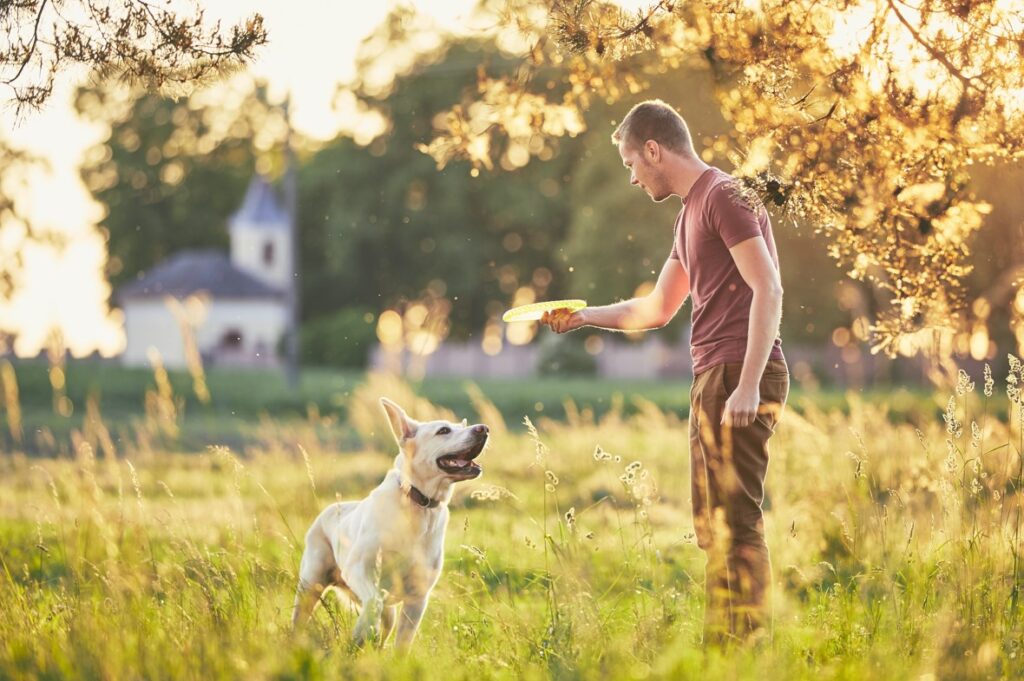 4 Possible Reasons Your Dog Keeps Biting Their Nails