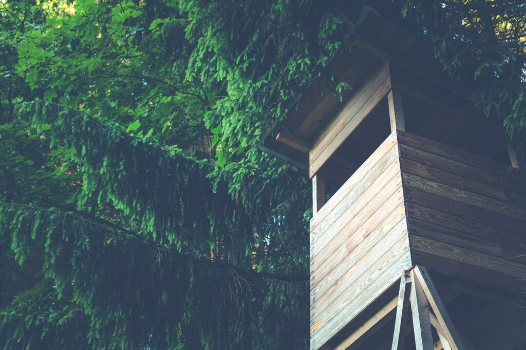 Why You Should Build a Treehouse for Your Children