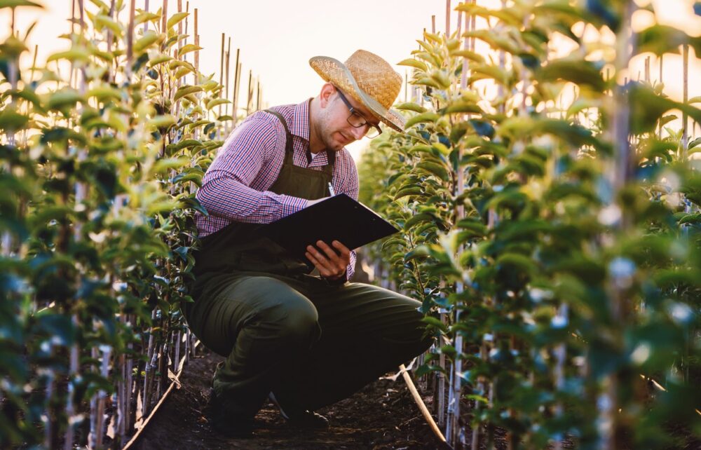 How Do Farmers Keep Large Crops Healthy During the Growing Season? 1 How Do Farmers Keep Large Crops Healthy During the Growing Season