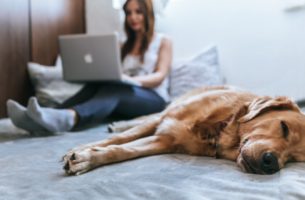 Shopping for Homeowners Insurance? Here’s What to Look For 1 Shopping for Homeowners Insurance Heres What to Look For