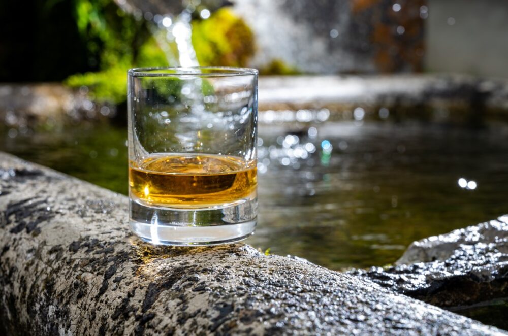 Sweet Spicy and Everything Nice The Rise of Flavored Whiskey