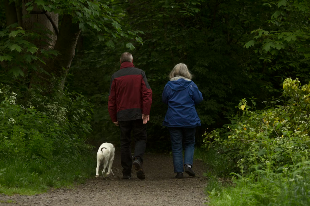 How to Prepare for Your Future Retirement Early