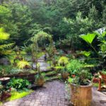 A beautiful backyard space with a stone path and lots of greenery