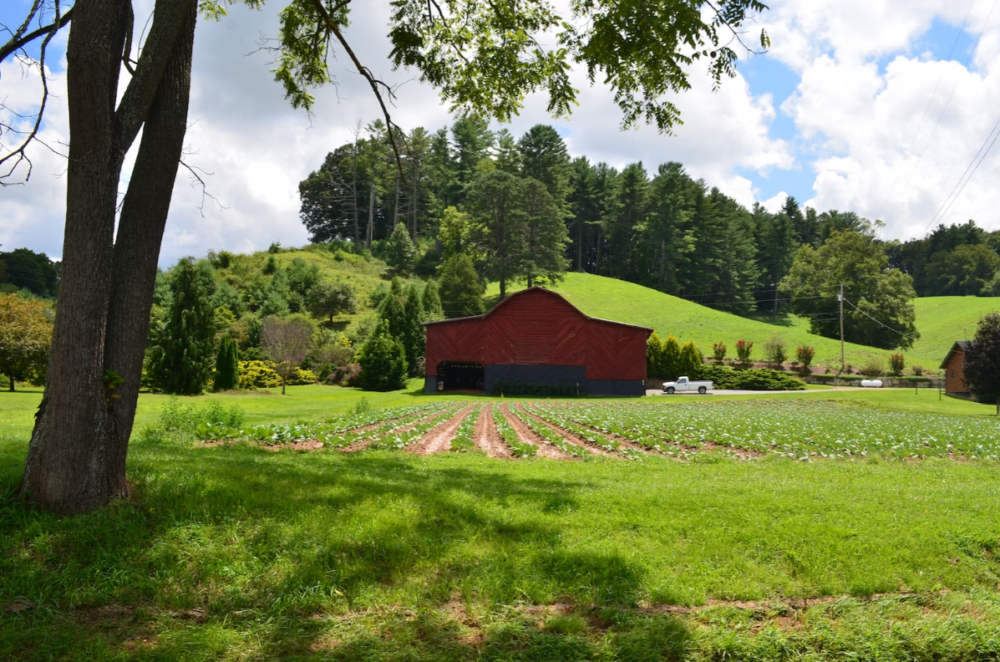 Building a Homestead Starting With These 11 Basics