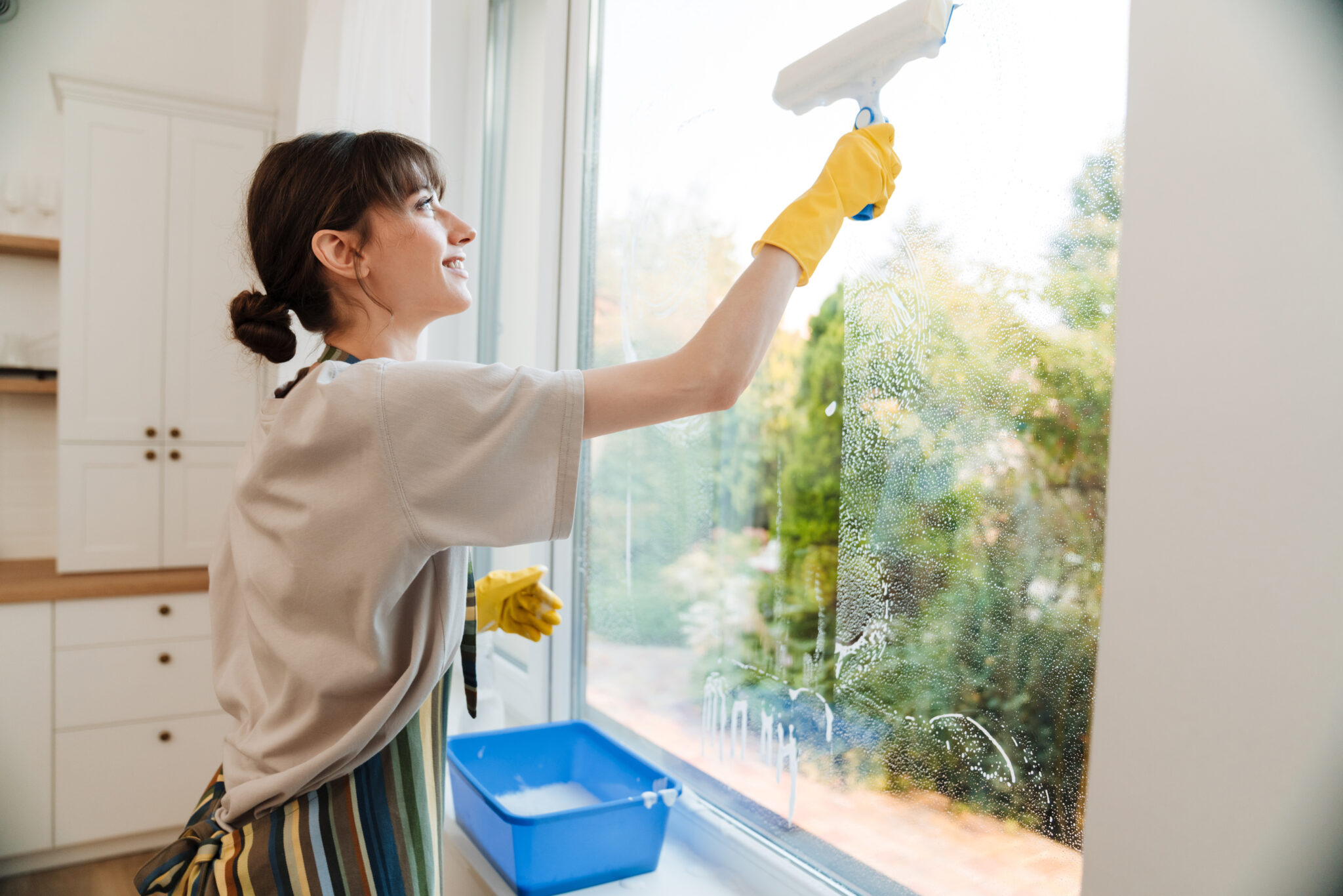 Tips To Achieve Professional-Level Window Cleaning at Home – Erica R ...