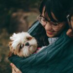 selective focus photography of white and tan shih tzu puppy carrying by smiling woman