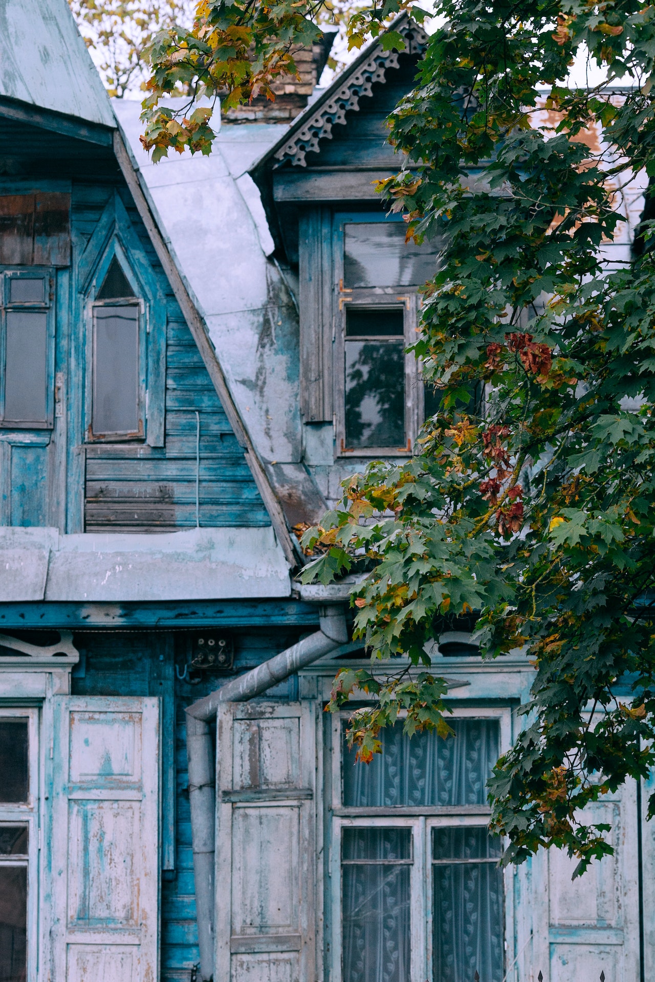 A worn blue home with a tree in front.