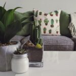 An aesthetic living room with three potted plants on a table set in front of a couch.