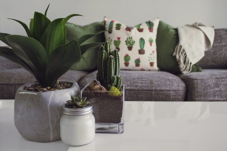 An aesthetic living room with three potted plants on a table set in front of a couch.