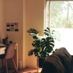 Sunlight pouring into a furnished living room