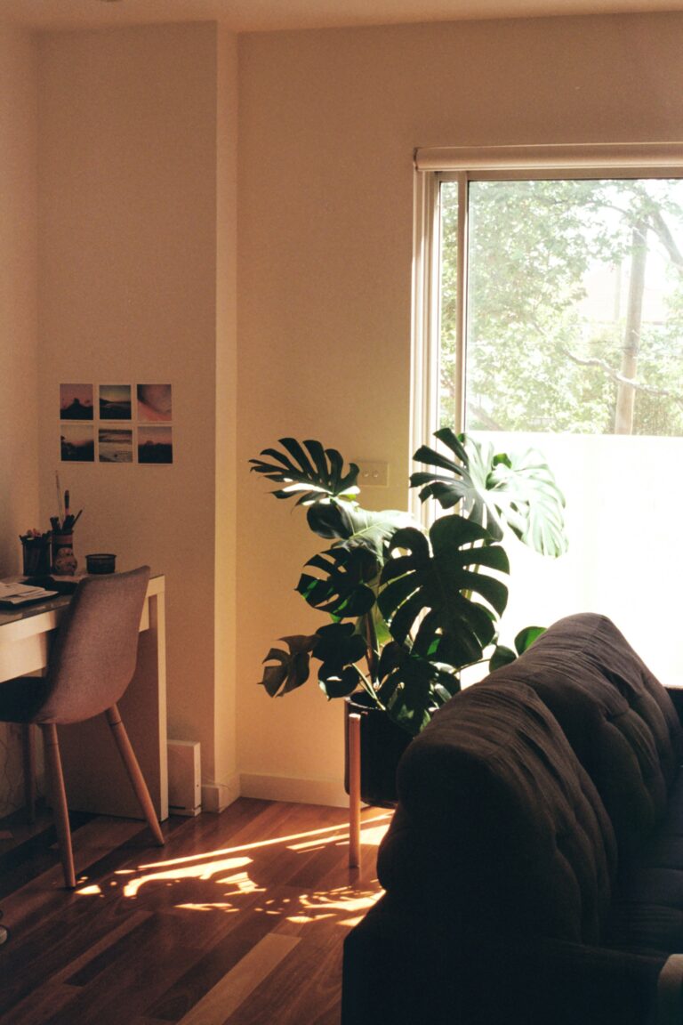 Sunlight pouring into a furnished living room