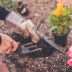 using gardening tools to transfer plants and pots