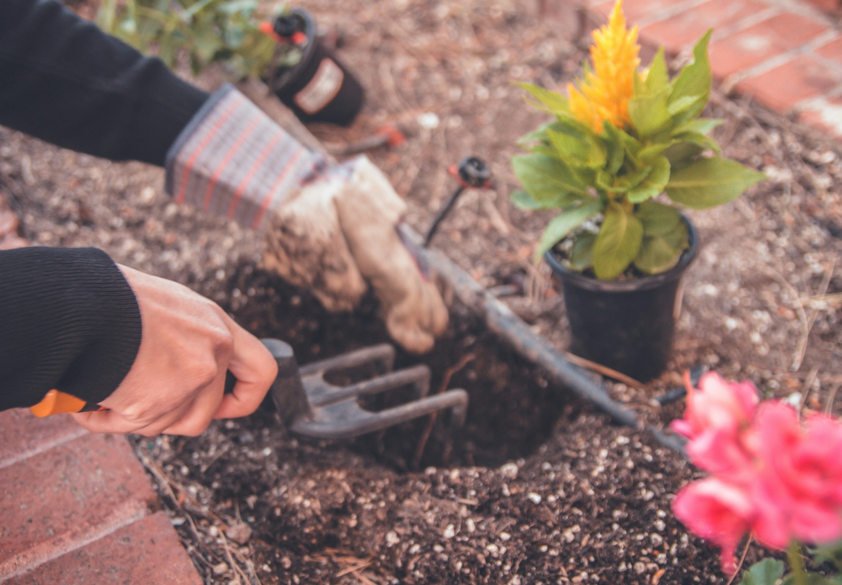 using gardening tools to transfer plants and pots
