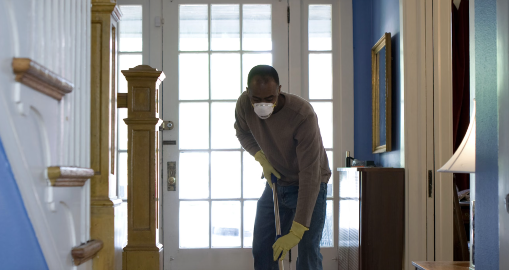 Ensuring Effective Pest Control The Recommended Frequency for Home Treatments