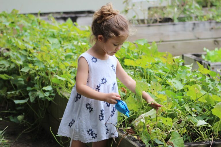 A young girl using a tiny watering can to water large collection of plants nearly as tall as her.