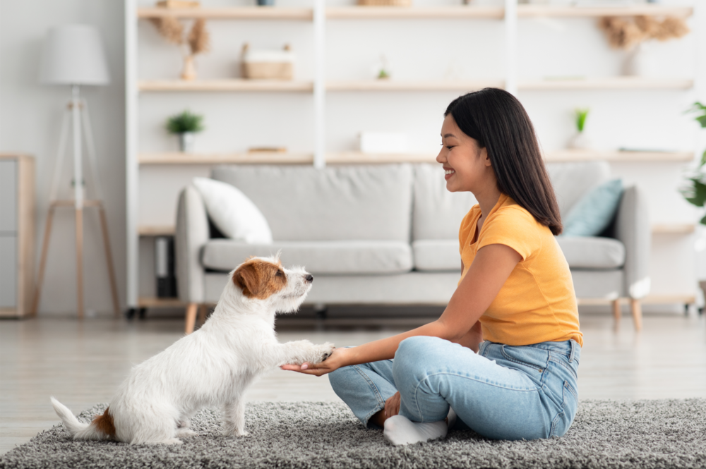 5 Tips for Finding Your Perfect Furry Friend 1 5 Tips for Finding Your Perfect Furry Friend 1