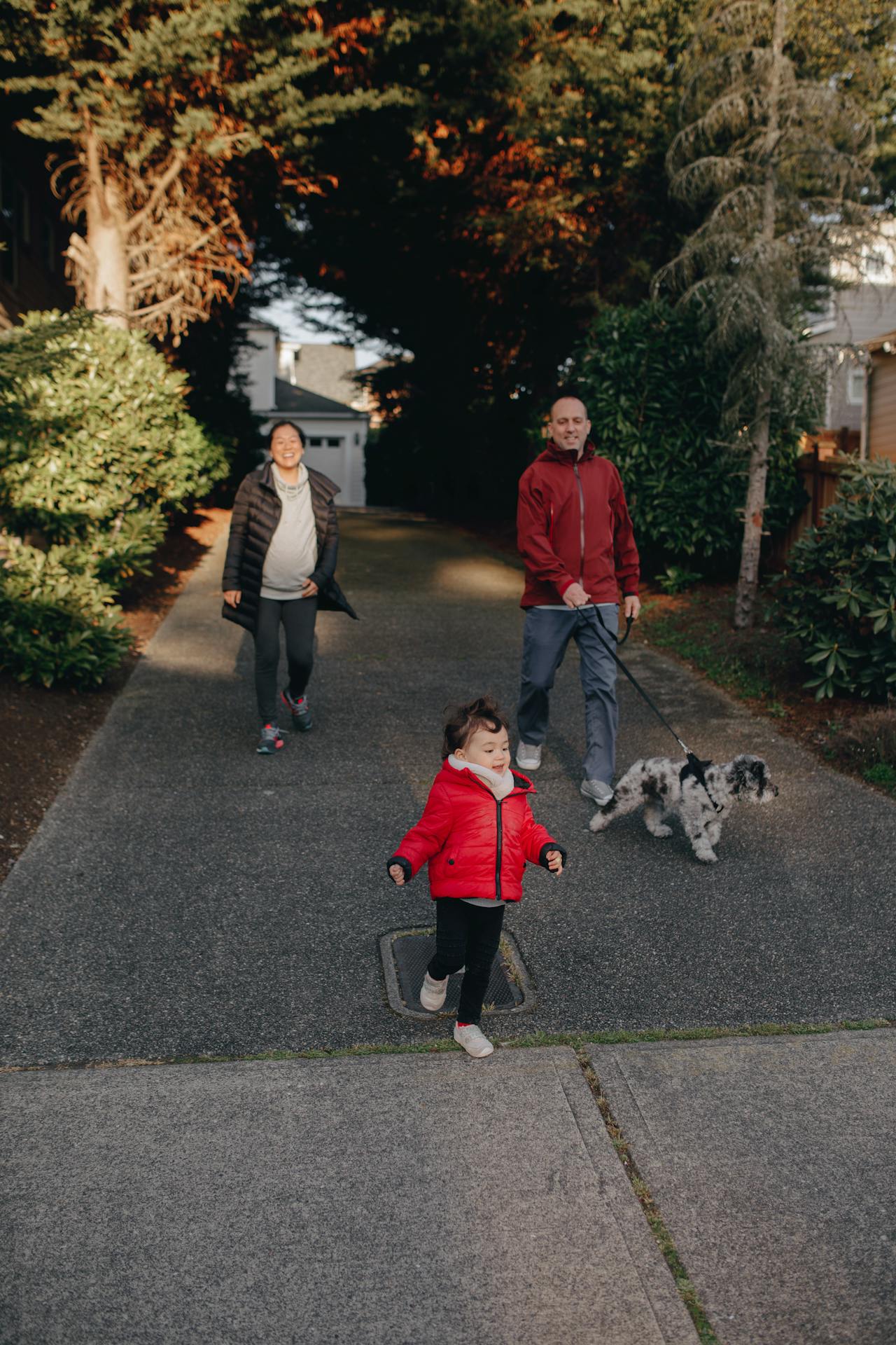 A family walking their dog down a long driveway.