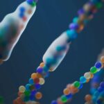 pexels-googledeepmind-25626515