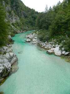 Everything To Know About Fishing Golden Mahseer