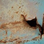 Water Damage in Your Home Here's What to Do