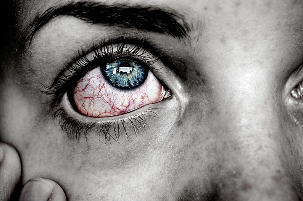 agnesliinnea-eye-743409_1920