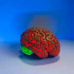 natasha-connell-byp5TTxUbL0-unsplash