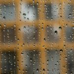 pexels-jan-van-der-wolf-11680885-29508053