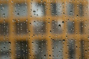 pexels-jan-van-der-wolf-11680885-29508053