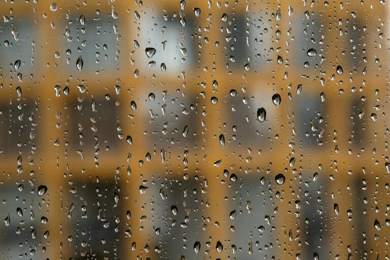 pexels-jan-van-der-wolf-11680885-29508053