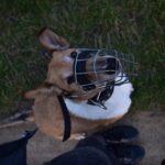 sara-sedlmajerova-jMQA0nXB_L0-unsplash