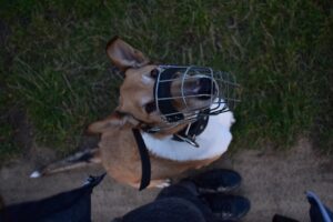 sara-sedlmajerova-jMQA0nXB_L0-unsplash