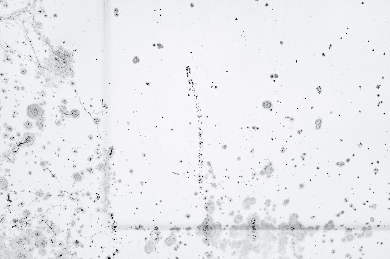 5 Warning Signs You May Have Hidden Mold Behind Walls