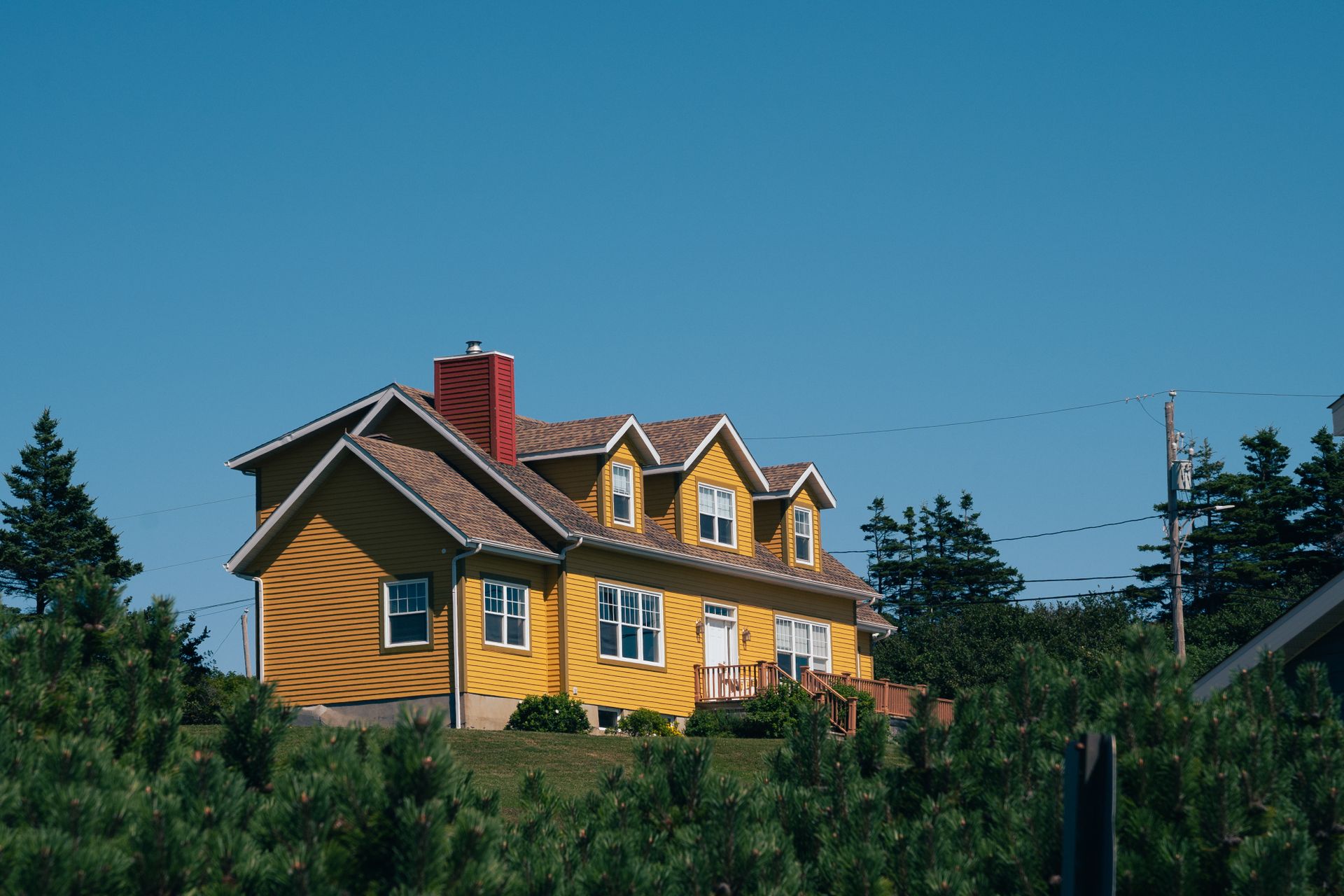 A beautiful yellow home surrounded by nature.